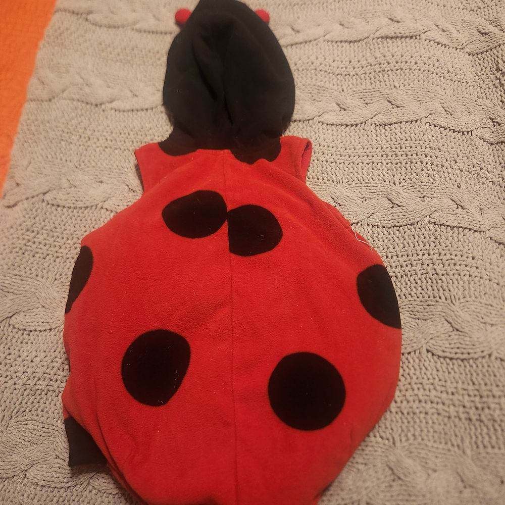 Lady Bug Vibrant Red Costume - Picture 2 of 5